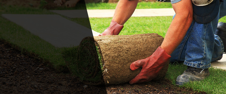 Rocky Mount Landscapers